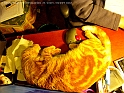 pix 001